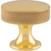 Alexander & Wilks Cupboard Knob Polished Brass Alexander & Wilks Berlin Cupboard Knob - Antique Brass - 38mm