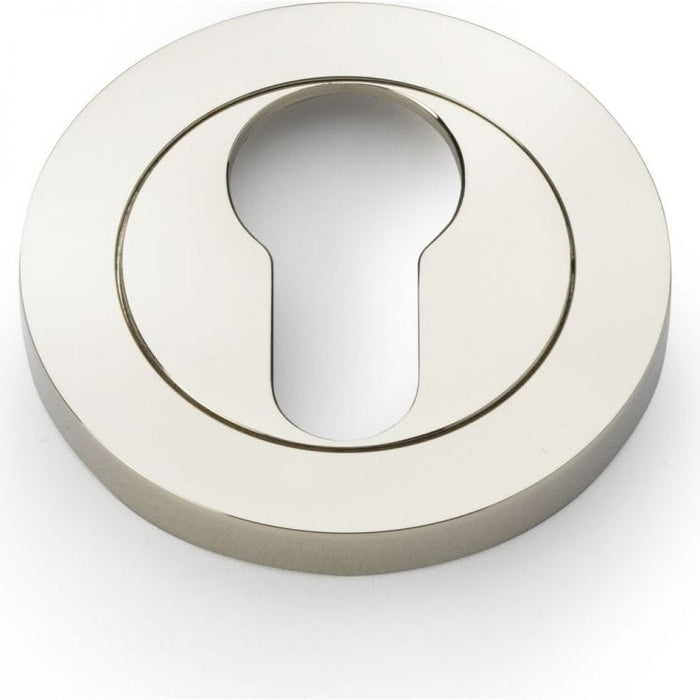 Alexander & Wilks Escutcheons Alexander & Wilks Concealed Fix Escutcheon Euro Profile - Satin Brass PVD