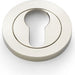 Alexander & Wilks Escutcheons Alexander & Wilks Concealed Fix Escutcheon Euro Profile - Satin Brass PVD