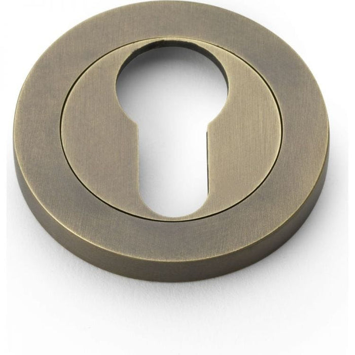 Alexander & Wilks Escutcheons Italian Brass Alexander & Wilks Concealed Fix Escutcheon Euro Profile - Satin Brass PVD