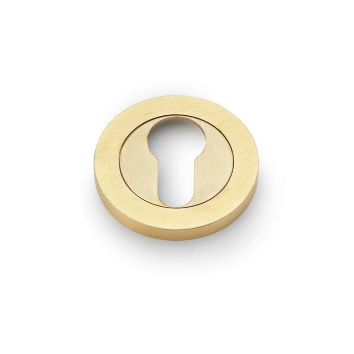 Alexander & Wilks Escutcheons Satin Brass PVD Alexander & Wilks Concealed Fix Escutcheon Euro Profile - Satin Brass PVD