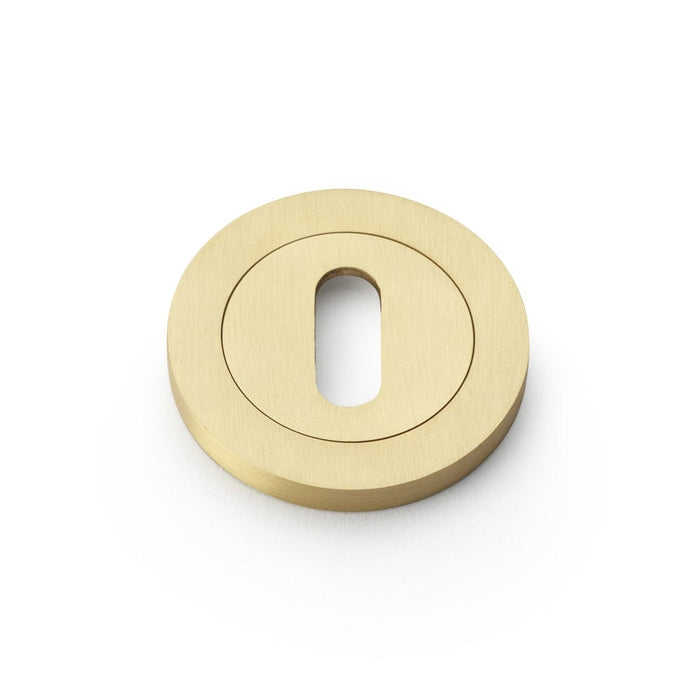 Alexander & Wilks Escutcheons Satin Brass Alexander & Wilks Concealed Fix Escutcheon Standard Profile - Antique Brass