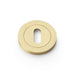 Alexander & Wilks Escutcheons Satin Brass Alexander & Wilks Concealed Fix Escutcheon Standard Profile - Antique Brass