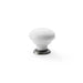 Alexander & Wilks Cupboard Knob White Knob, Antique Nickel Rose AW - Ceramic Cupboard Knob