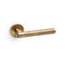 Alexander & Wilks Handles Italian Brass AW - Spitfire Hammered Lever on Round Rose