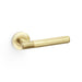 Alexander & Wilks Handles Satin Brass PVD AW SPITFIRE LEVER KNURLED ON 50X6MM ROSE