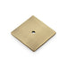 Alexander & Wilks Cupboard Knob Antique Brass BULLION SQUARE BACKPLATE - 45MM