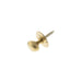 Atlantic Turn & Release Satin Brass Atlantic Rack Bolt Oval Thumbturn