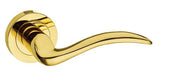 Atlantic Handles Polished Brass Mediterranean Valencia Lever on Round Rose