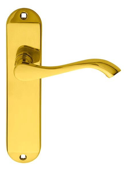 Carlisle Brass Handles POLISHED BRASS ANDROS LEVER ON BACKPLATE - LATCH 180MM X 40MM