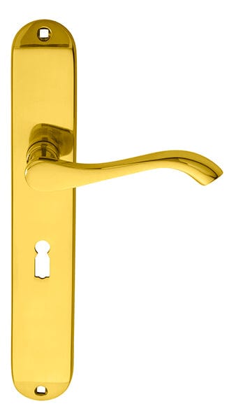 Carlisle Brass Handles POLISHED BRASS ANDROS LEVER ON BACKPLATE - LOCK 57MM C/C 242MM X 40MM