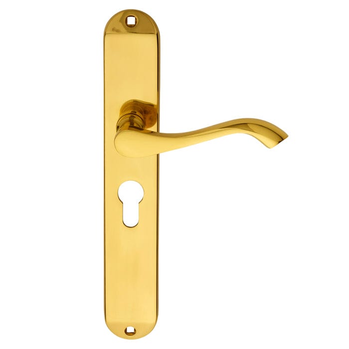 Carlisle Brass Handles POLISHED BRASS ANDROS LEVER ON BACKPLATE - LOCK EURO PROFILE 47.5MM C/C 242MM X 40MM