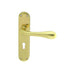 Carlisle Brass Handles Polished Brass Astro Lever On Backplate - Lock 57Mm C/C Otl (Polished Brass) 185Mm X 40Mm