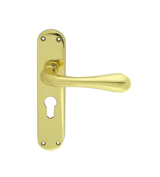 Carlisle Brass Handles Polished Brass Astro Lever On Backplate - Lock Euro Profile 47.5Mm C/C Otl (Polished Brass) 185Mm X 41Mm