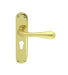 Carlisle Brass Handles Polished Brass Astro Lever On Backplate - Lock Euro Profile 47.5Mm C/C Otl (Polished Brass) 185Mm X 41Mm