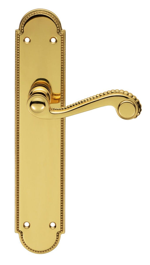 Carlisle Brass Handles Polished Brass Chesham Lever On Backplate - Latch 248Mm X 50Mm