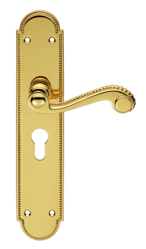 Carlisle Brass Handles Polished Brass Chesham Lever On Backplate - Lock Euro Profile 47.5Mm C/C 248Mm X 48Mm