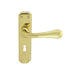 Carlisle Brass Handles Polished Brass Eden Lever On Backplate - Lock 57Mm C/C 180Mm X 40Mm