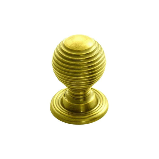 Carlisle Brass Cupboard Knob Polished Brass FTD QUEEN ANNE KNOB 28mm