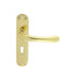 Carlisle Brass Handles Polished Brass Ibra Lever On Backplate - Lock 57Mm C/C Otl (Polished Brass) 185Mm X 40Mm