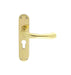 Carlisle Brass Handles Polished Brass Ibra Lever On Backplate - Lock Euro Profile 47.5Mm C/C Otl (Polished Brass) 185Mm X 40Mm