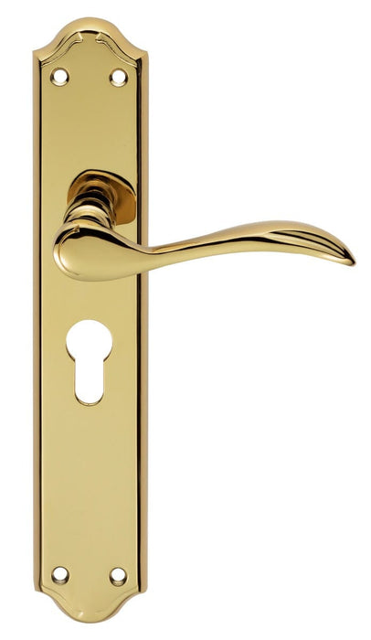 Carlisle Brass Handles Stainless Brass Madrid Lever On Backplate - Lock Euro Profile 47.5Mm C/C 242Mm X 45Mm