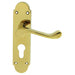 Carlisle Brass Handles Polished Brass Oakley Lever On Backplate -  Lock Euro Profile 47.5Mm C/C 170Mm X 42Mm