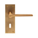 Carlisle Brass Handles Antique Brass Velino Lever On Backplate  - Lock 57Mm