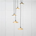 From The Anvil Lighting Tump Smooth Brass Flora Cluster Pendant