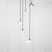 From The Anvil Lighting Birch Smooth Nickel Flora Cluster Pendant